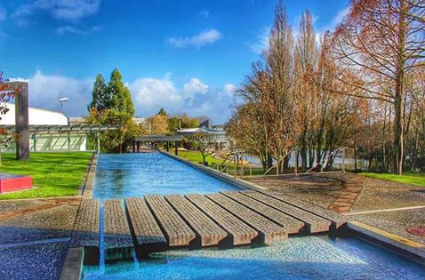 Study in New Zealand and Get Started at The University of Waikato Fully Funded Scholarships 2025